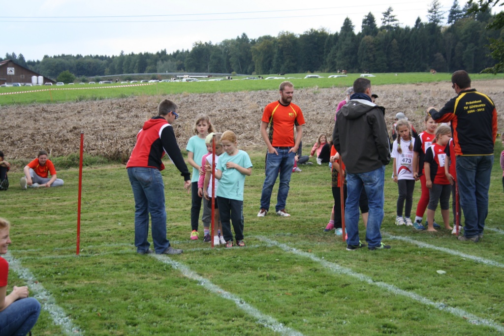 Bild 1 (136)